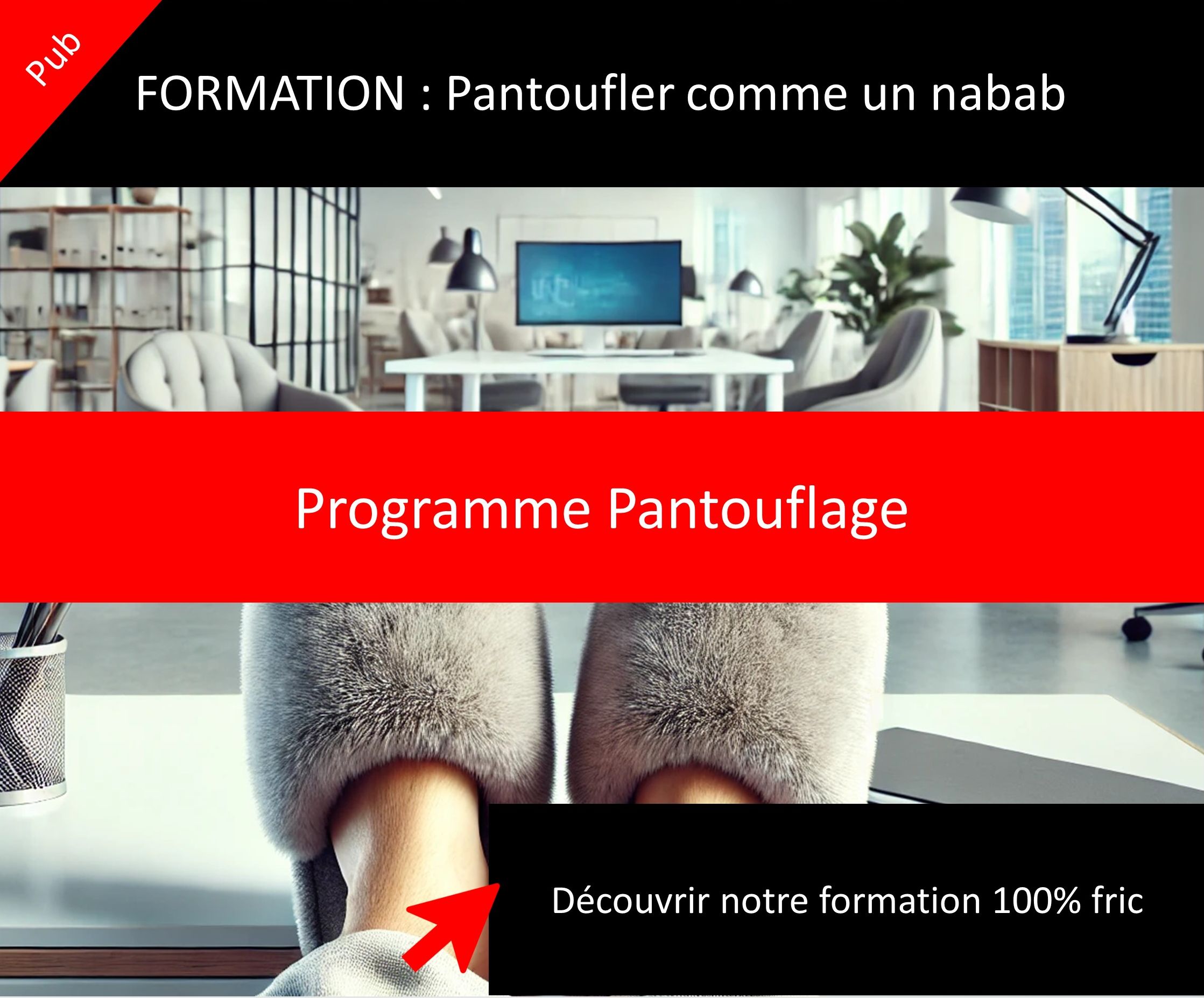 Formation au "pantouflage" en 7 jours : maîtrisez la transition entre politique et secteur privé, brûlez votre éthique et faites des ronds !