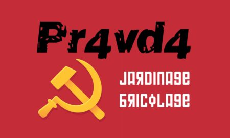 Dossier Pr4vd4 sur le bricolage et le jardinage. Conseils avisés mis en commun, enfonçage d'évidences avec un marteau, coupes budgétaires et arboricoles