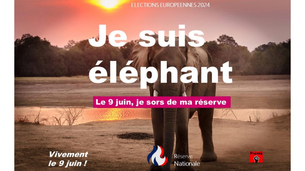 Campagne RN élections européennes je suis, je vote. Devoir de réserve. Campagne interdite. Scandale. Censure. Eléphant