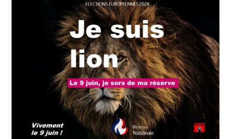 Campagne RN élections européennes je suis, je vote. Devoir de réserve. Campagne interdite. Scandale. Censure. Lion