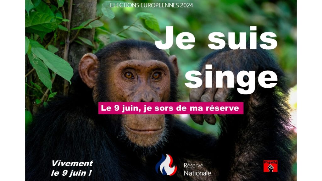 Campagne RN élections européennes je suis, je vote. Devoir de réserve. Campagne interdite. Scandale. Censure. Singe