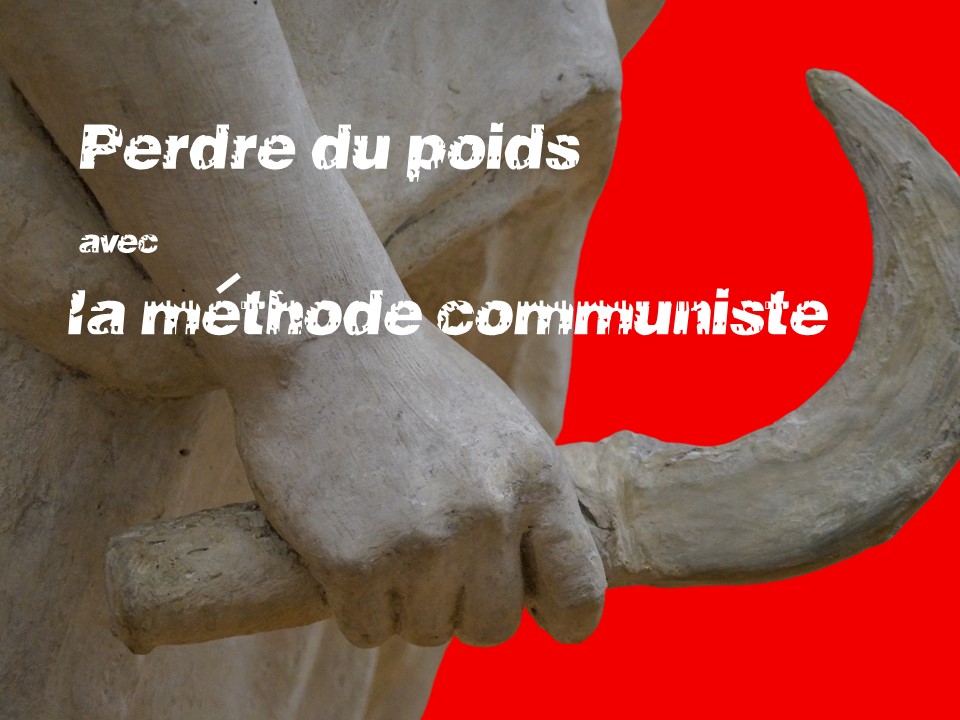 Dossier Perte de poids, régime alimentaire efficace sur Pr4vd4.net. Découvrez 4 régimes qui ont montré leur efficacité pour perdre du poids