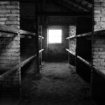 À Auschwitz-Birkenau, Depardon photographie le vide. Une série pudique et saisissante, où l’absence devient espace d’écoute et de mémoire silencieuse