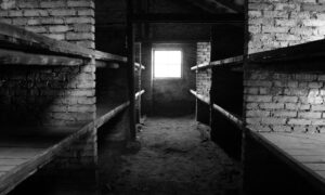À Auschwitz-Birkenau, Depardon photographie le vide. Une série pudique et saisissante, où l’absence devient espace d’écoute et de mémoire silencieuse