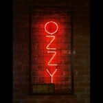 Ozzy Osbourne, voix de Black Sabbath et pionnier du metal, s’éteint à 76 ans. De Paranoid à The Osbournes, il laisse un héritage lourd comme un riff d’Iommi.