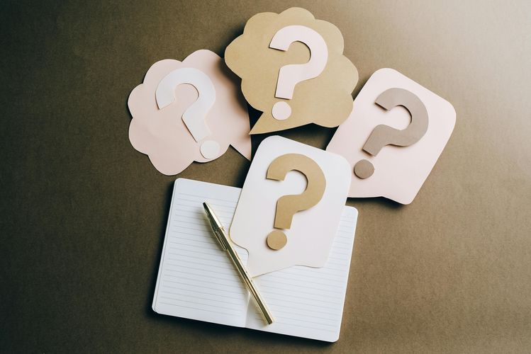 L'expression "la vraie question" masque souvent une banalité affligeante. Un simulacre qui révèle que "la vraie question", c’est l’absence de vraie question