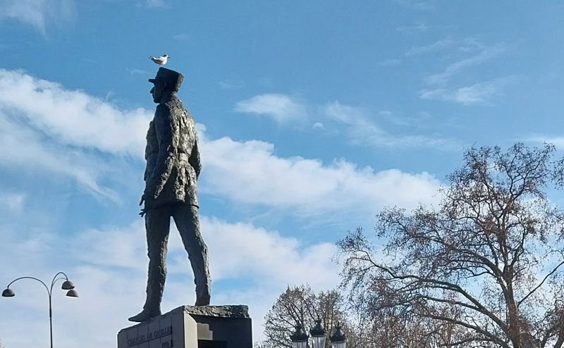 Un pigeon souille De Gaulle : synecdoque des incivilités, outrage intolérable ! Satire sur jeunesse laxiste, appel à tolérance zéro et à la colombodestruction